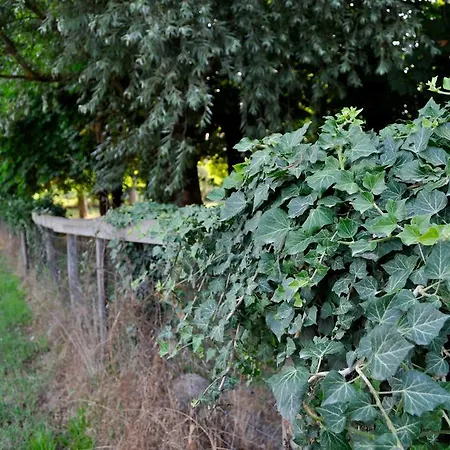 Frühstückspension Le Macine Relais Cairo Montenotte