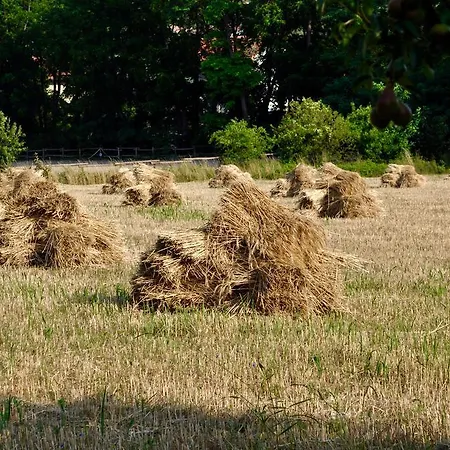 Frühstückspension Le Macine Relais Cairo Montenotte