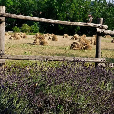 Bed & Breakfast Le Macine Relais 3*