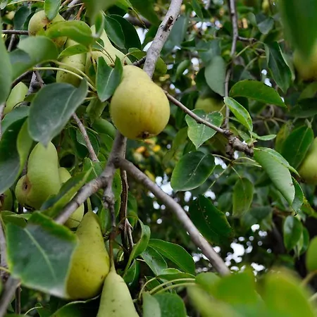 Frühstückspension Le Macine Relais Cairo Montenotte