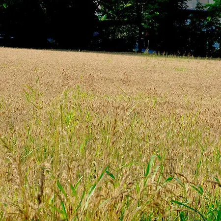 Le Macine Relais Frühstückspension 3*