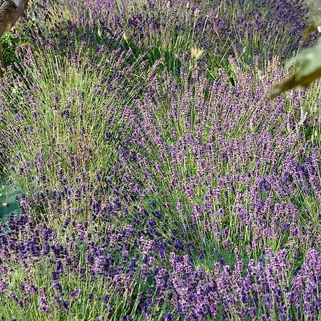 Frühstückspension Le Macine Relais Cairo Montenotte