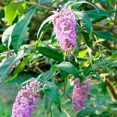 Bed & Breakfast Le Macine Relais 3*