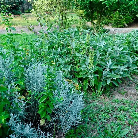 Le Macine Relais 3* Cairo Montenotte