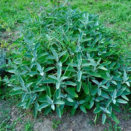 Le Macine Relais Bed & Breakfast