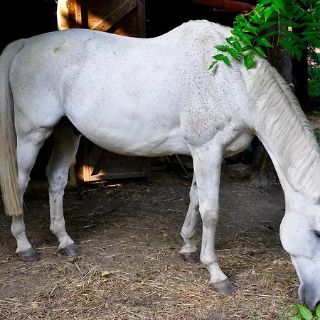 Le Macine Relais Cairo Montenotte