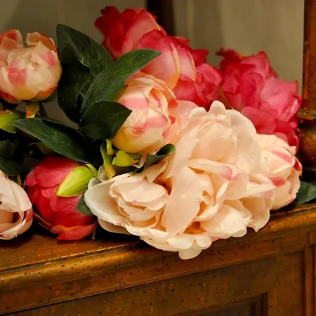 Le Macine Relais Frühstückspension Cairo Montenotte