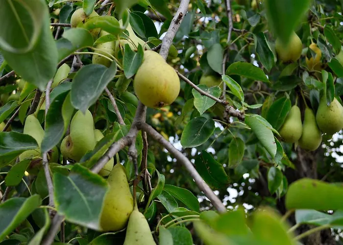 Bed & Breakfast Le Macine Relais Cairo Montenotte