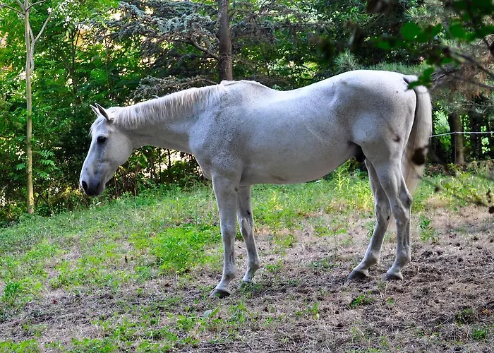 Bed & Breakfast Le Macine Relais 3*