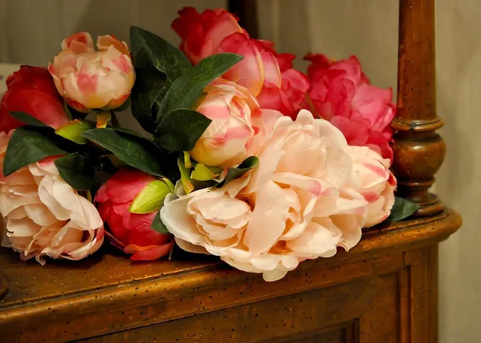 Le Macine Relais Bed & Breakfast Cairo Montenotte